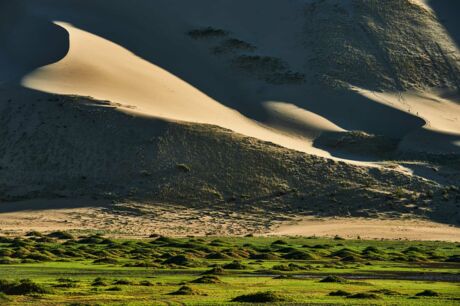 Die "singenden" Sanddünen Khongoryn Els in der Wüste Gobi in der Mongolei